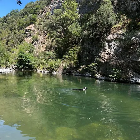 Les De Mezouilhac, Le Cerisier * Riols